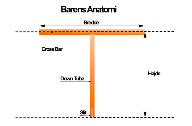Anatomia ghidonului