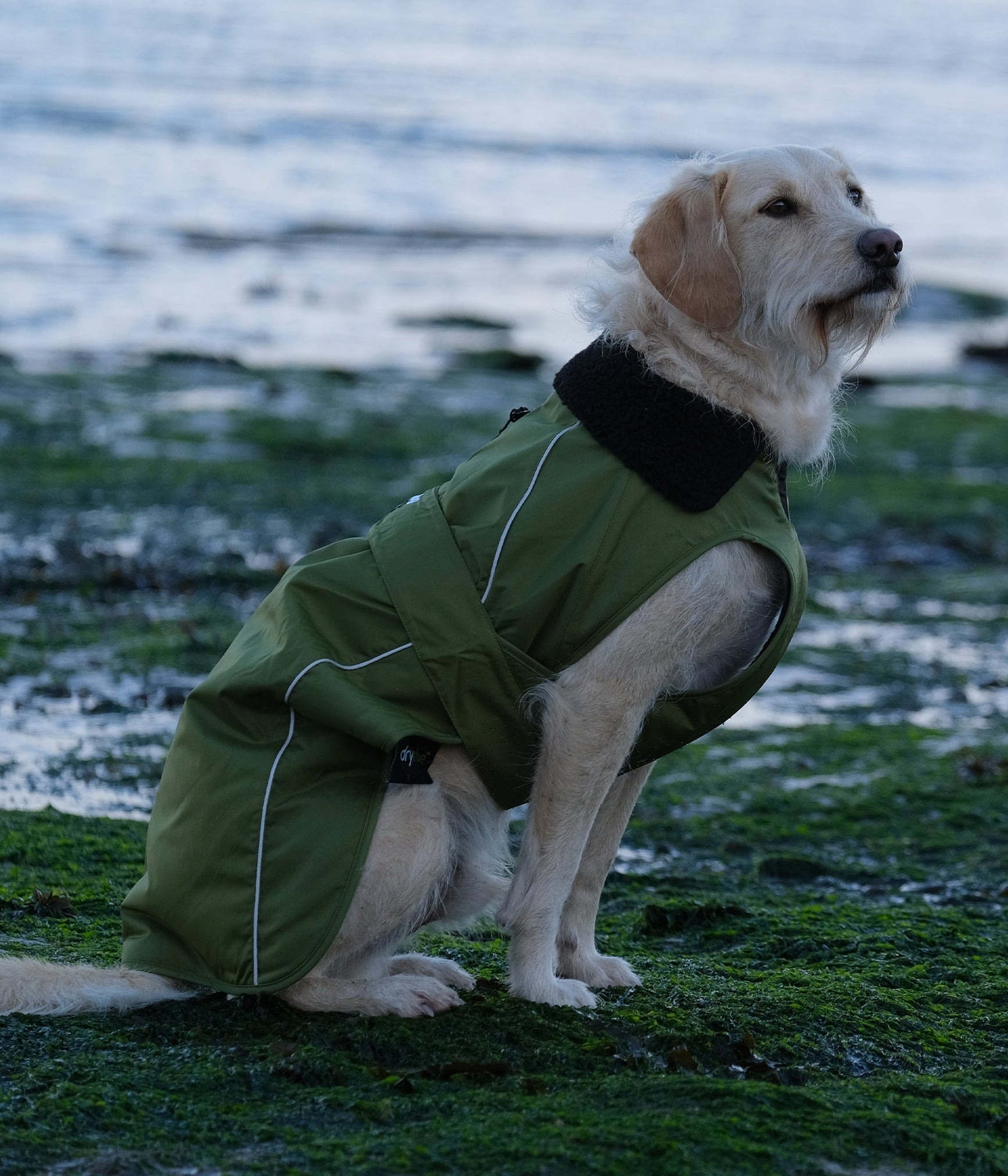 Dryrobe® Pro Blana Pentru Câini