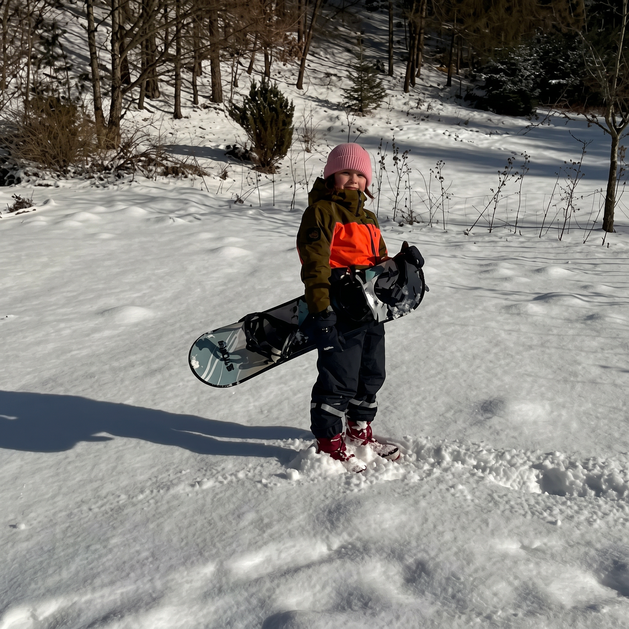 Pârtie Snowboard