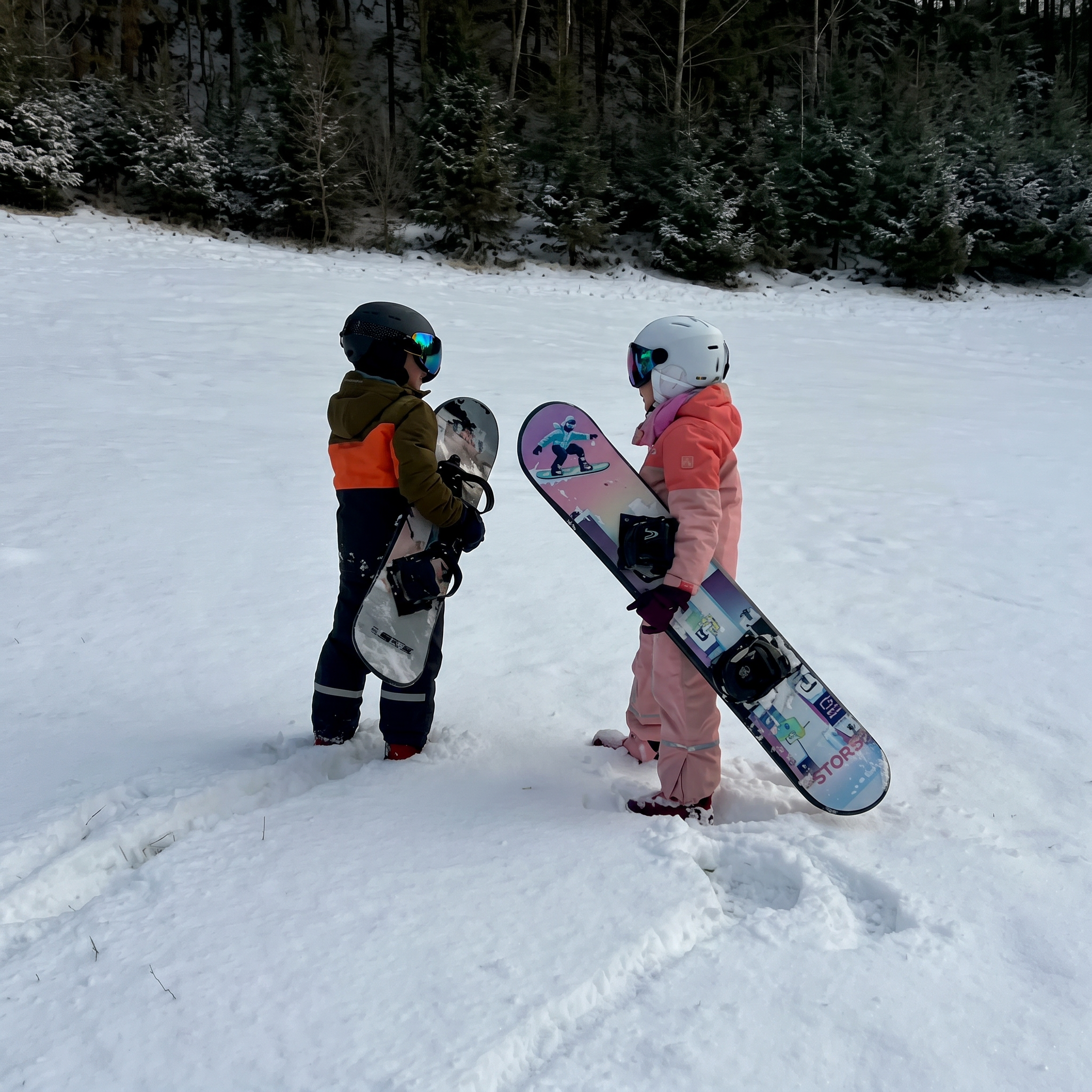 Pârtie Snowboard