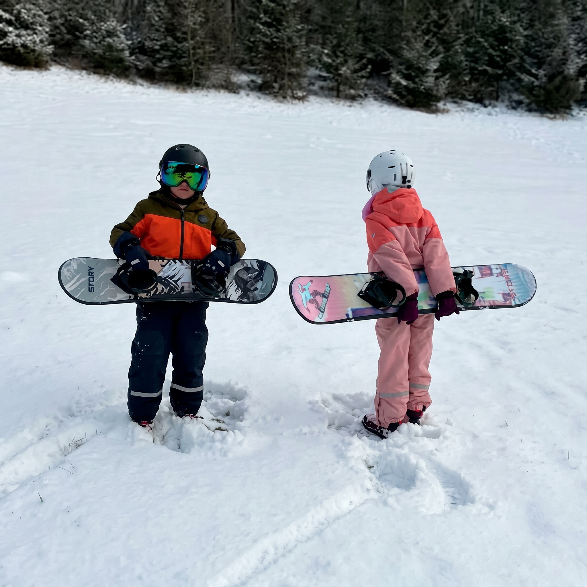 Pârtie Snowboard