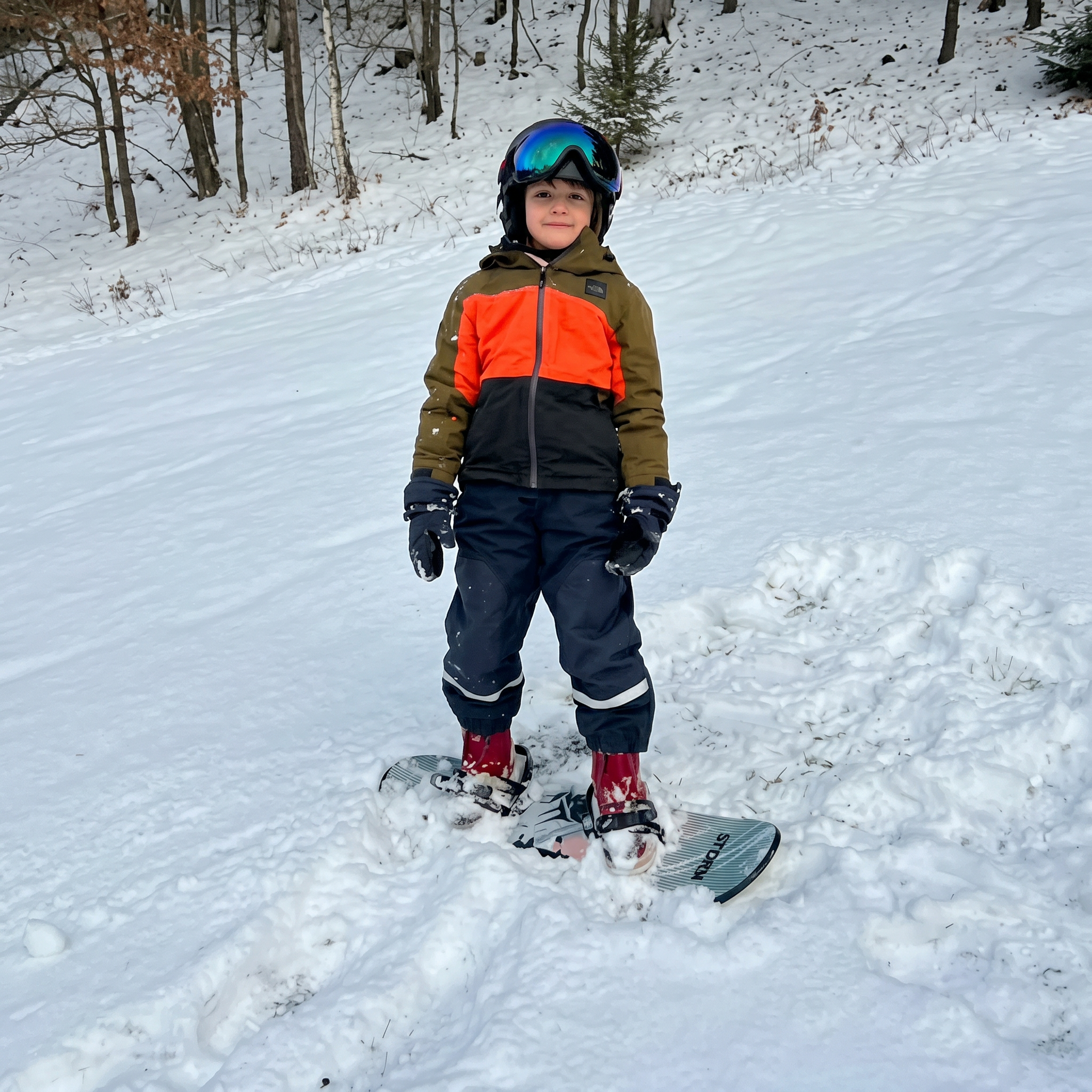 Pârtie Snowboard