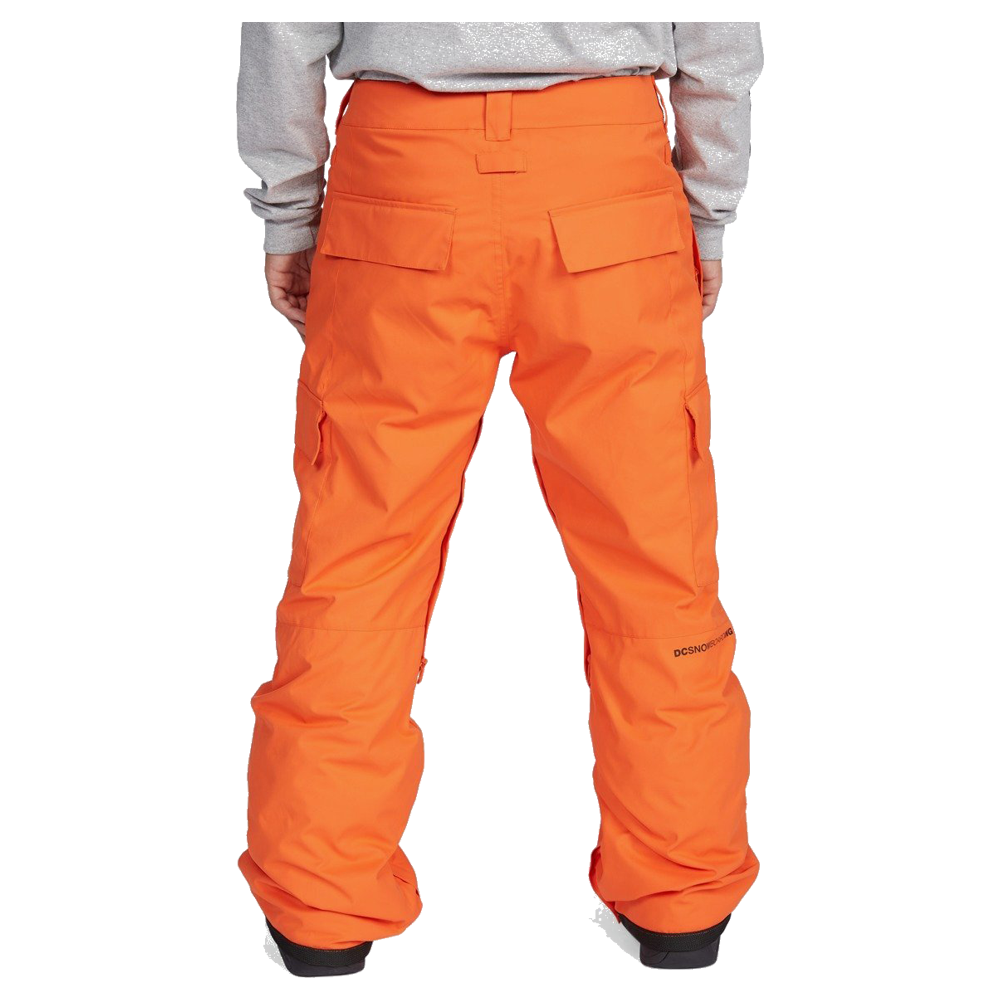 Pantaloni de zăpadă DC Banshee