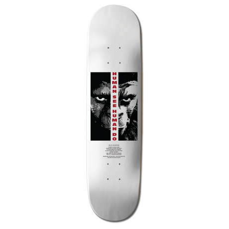 Plăci de skateboard Element 8.5"