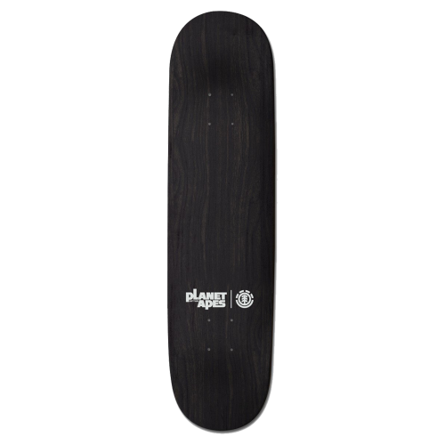 Plăci de skateboard Element 8.5"