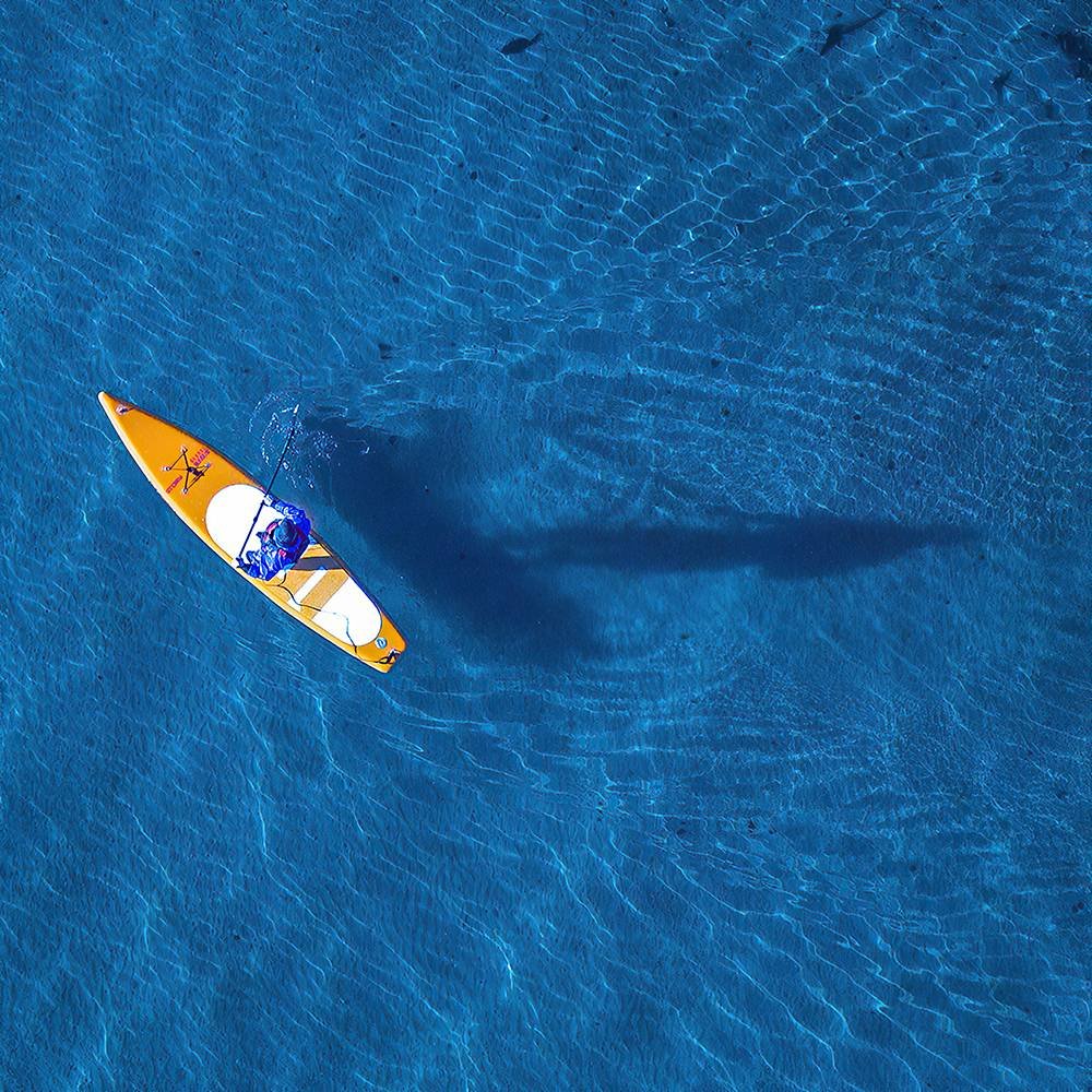 Paddleboard Inflatable Story Global