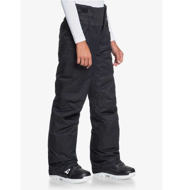 Roxy Diversion Ski Pantaloni