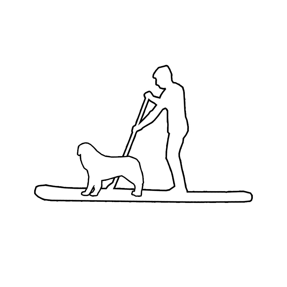 Stabilitate SUP